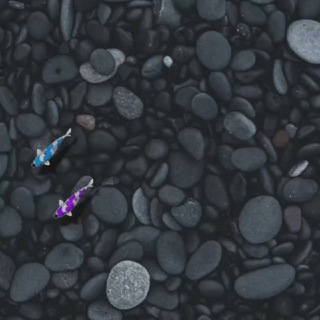 Telegram profile photo for Airdrop