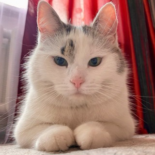Telegram profile photo for А-ну-ка Давай-ка