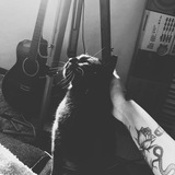 Telegram profile photo for Free unsub