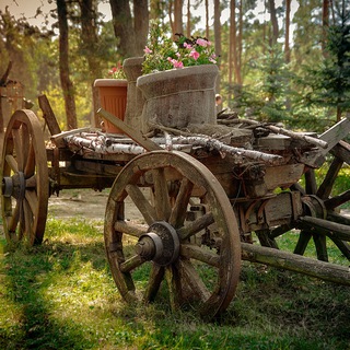 Telegram profile photo for ВаниЗмы
