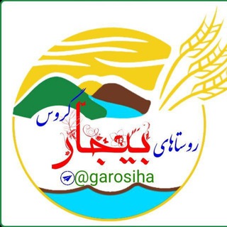Telegram profile photo for روستاهای بیجار گروس