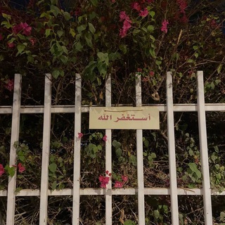 Telegram profile photo for الـزَينة