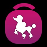 Telegram profile photo for Persian Petshop | پرشين پت شاپ