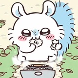 Telegram profile photo for momonga cf