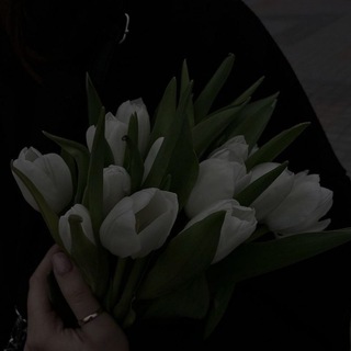 Telegram profile photo for دلتنگیــ :