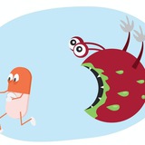 Telegram profile photo for Real Pharmacist ( Antibiotics )