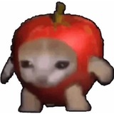 Telegram profile photo for Applecat - $SOL