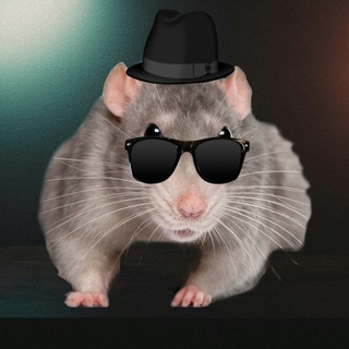 Telegram profile photo for snwglw || a very dark place