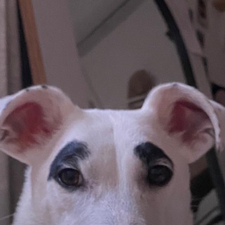 Telegram profile photo for porfarfor гараж сейл - мск