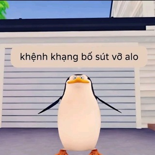 Telegram profile photo for dev lỏ và những người bạn