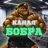 Telegram profile photo for Канал Бобра 🦫