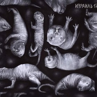 Telegram group profile photo for Голый землекоп Chat