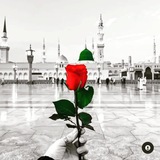 Telegram profile photo for PADROKH_KANAL🇹🇯_™️