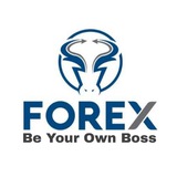Telegram profile photo for Free Premium Signals
