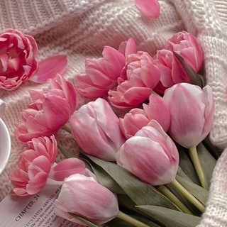 Telegram profile photo for صيدلية شعور🪞🌷:
