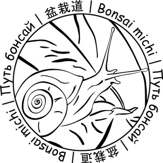 Telegram profile photo for Путь Бонсай/盆栽道/Bonsai michi