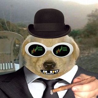 Telegram profile photo for nikzall.eth alpha