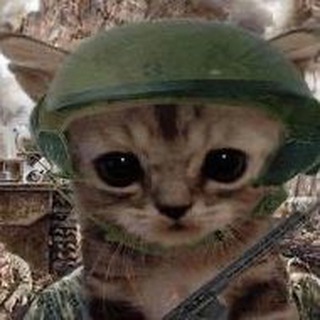 Telegram profile photo for Окопный Флипер