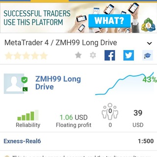 Telegram profile photo for 7⃣8⃣6⃣ ZⓂ️H9⃣9⃣( Stress 🆓 EA TRADING)