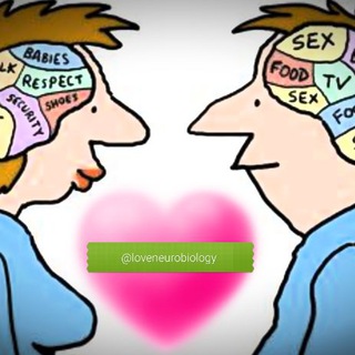 Telegram profile photo for LOVE: Neurobiology