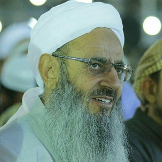Telegram profile photo for 💚حامیان شیخالاسلاممولاناعبدالحمید💚