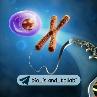 Telegram profile photo for 📚Molecular Cell Biology Lodish+🧬