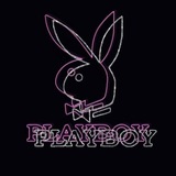 Telegram profile photo for BANKSY.KR