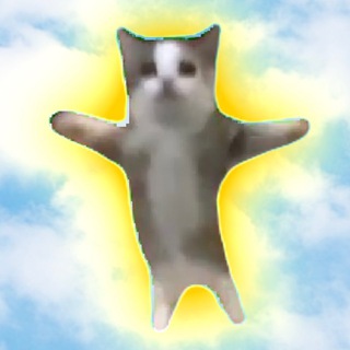 Telegram profile photo for Happy Cat Chat