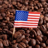 Telegram profile photo for Dragon USA Hub Link