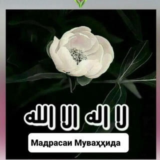 Telegram profile photo for Омузиши Тавҳид барои хоҳарон.