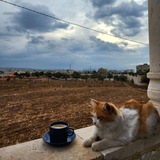 Telegram profile photo for الأُلفةِ.