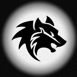 Telegram profile photo for زاپاس NPV_IR