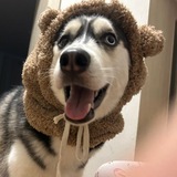 Telegram profile photo for Гараж