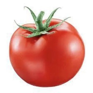 Telegram profile photo for utro🍅