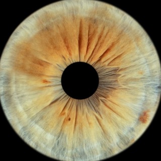 Telegram profile photo for мир глазами Элины