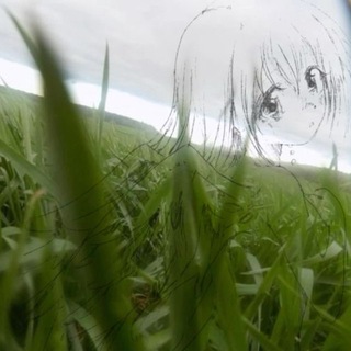 Telegram profile photo for scarry