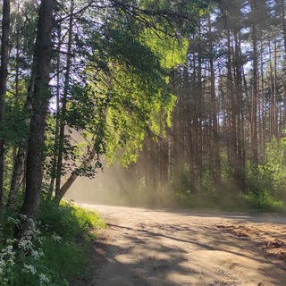 Telegram profile photo for Погружение в русский лес