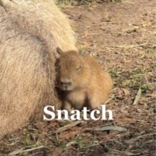 Telegram profile photo for Снэтч