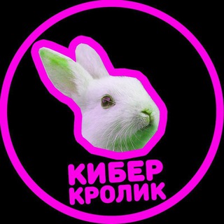 Telegram profile photo for Курсы программирования - Кибер Кролик