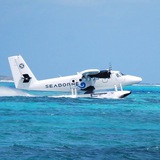 Telegram profile photo for Seaborne Airlines