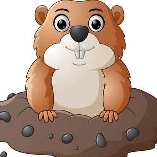Telegram profile photo for 土拨鼠机场官网:tuboshu.io