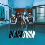 Telegram profile photo for BlackSwan Brasil