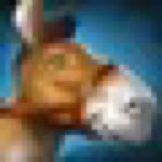 Telegram profile photo for Dota 2 stickers