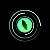 Telegram profile photo for Spin I Announcements