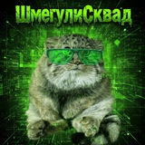 Telegram profile photo for ShmegulSquad -> Переходник