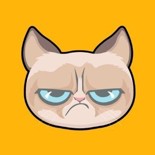 Telegram profile photo for PONZIO PORTAL
