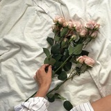 Telegram profile photo for White Flower Faith🌸