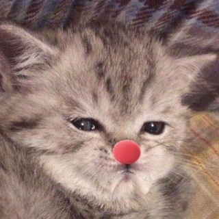 Telegram profile photo for Хихикошная 🤡
