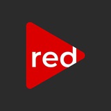 Telegram profile photo for Rediptv