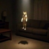 Telegram profile photo for отрицание от™